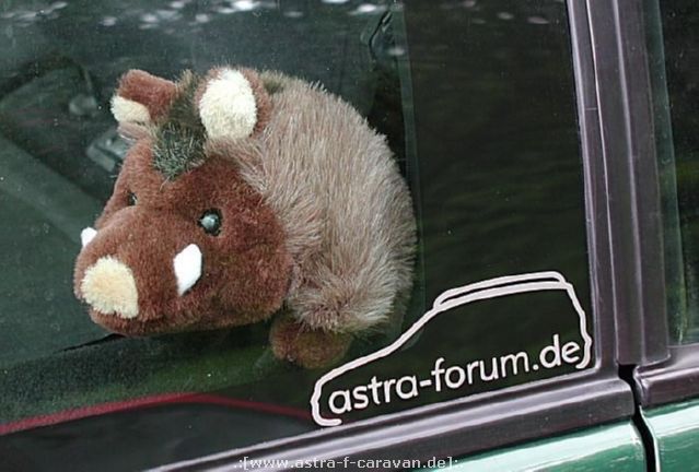 ||  .:[www.astra-f-caravan.de]:.  ||